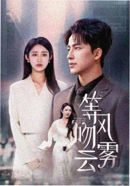 白塔档案 谍战年代剧封面